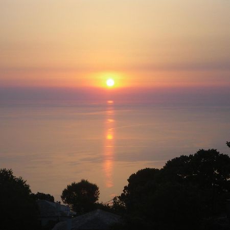 Villa Georgie Цагарада Экстерьер фото