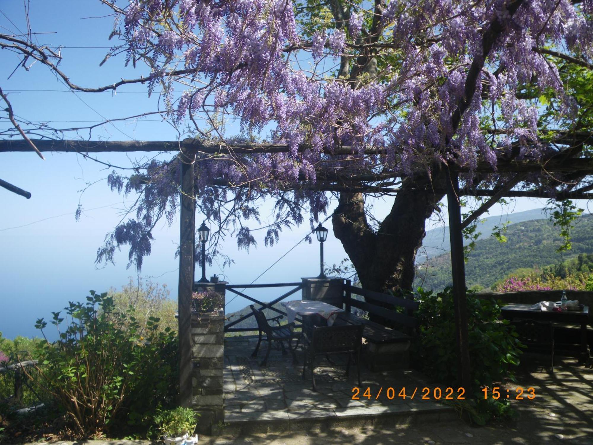 Villa Georgie Цагарада Экстерьер фото