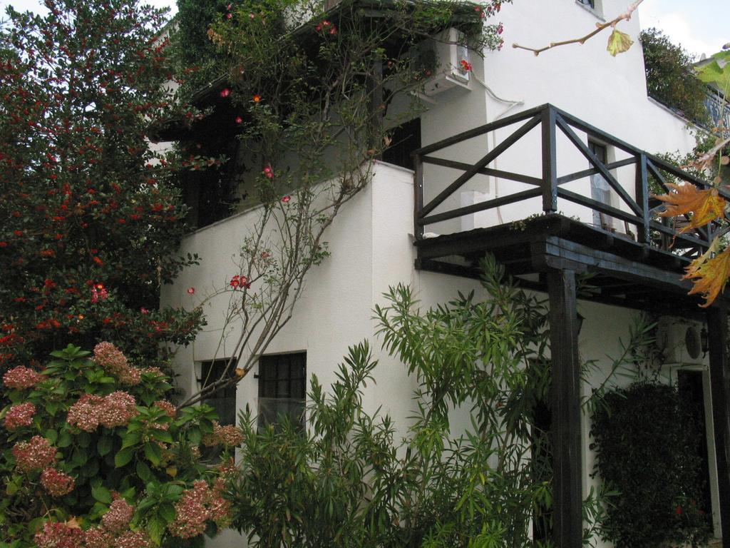 Villa Georgie Цагарада Экстерьер фото
