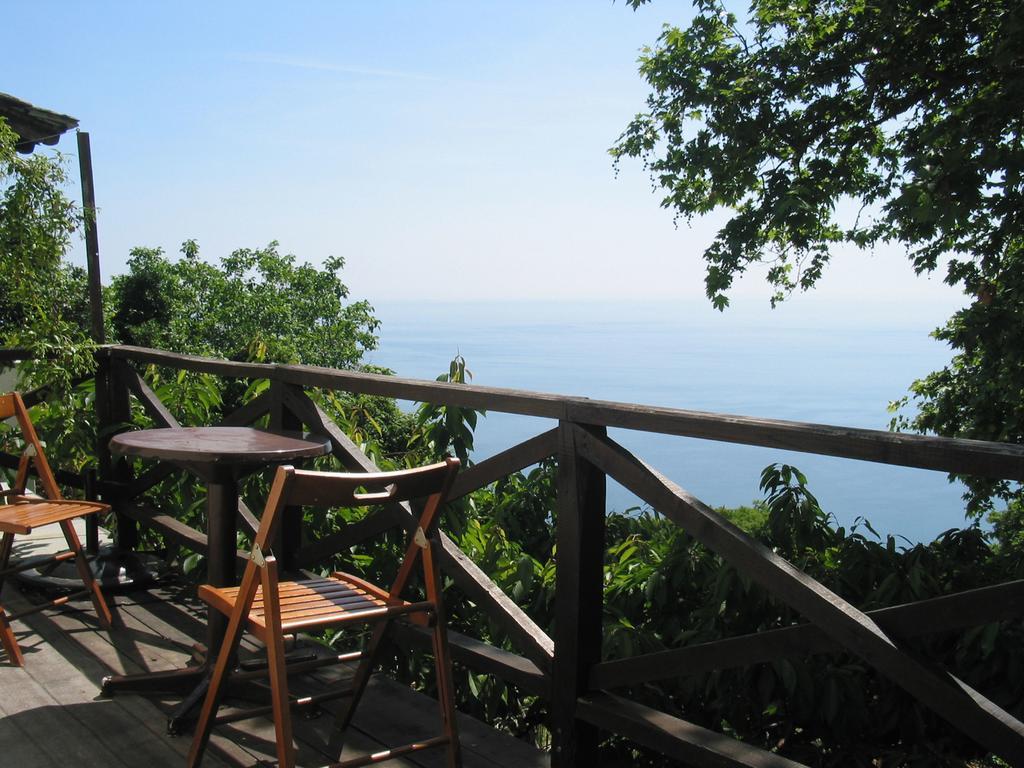 Villa Georgie Цагарада Экстерьер фото