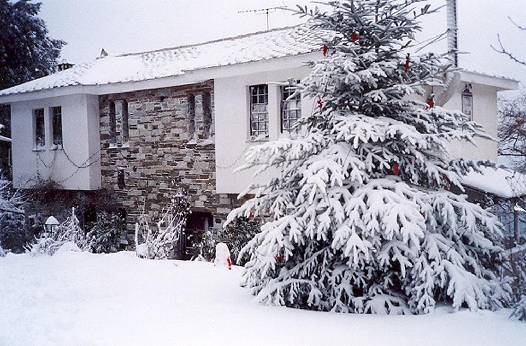 Villa Georgie Цагарада Экстерьер фото